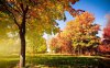 Nature_Seasons_Autumn_Colorful_Autumn_Landscape_034843_.jpg