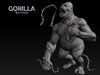 1_Gorilla.jpg