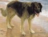 4-man-s-best-friend-dog-1908-Ilya-Repin.jpg