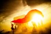 Burning Man SS2 (187 of 1083)-X2.jpg