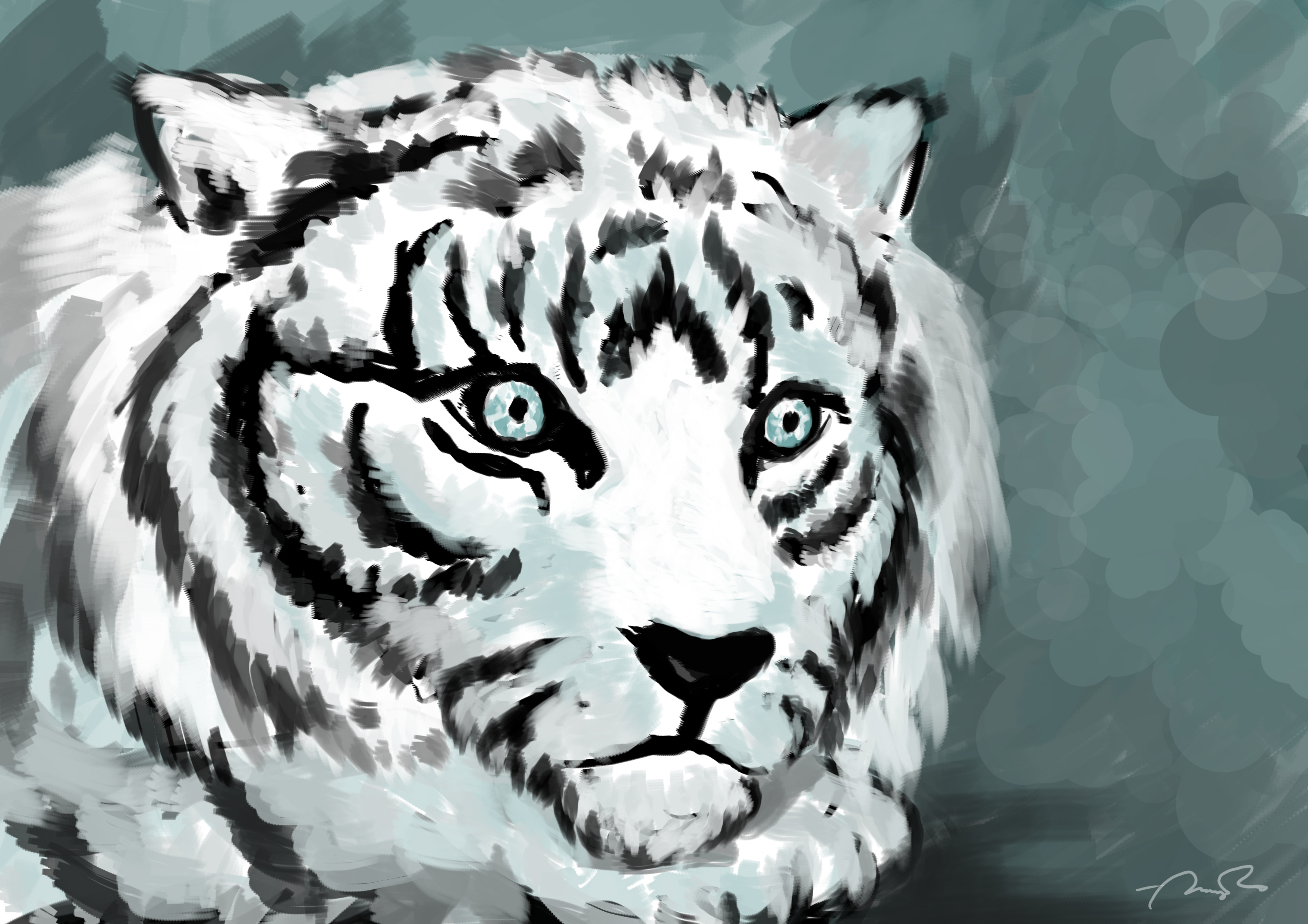 Белый тигр.jpg
