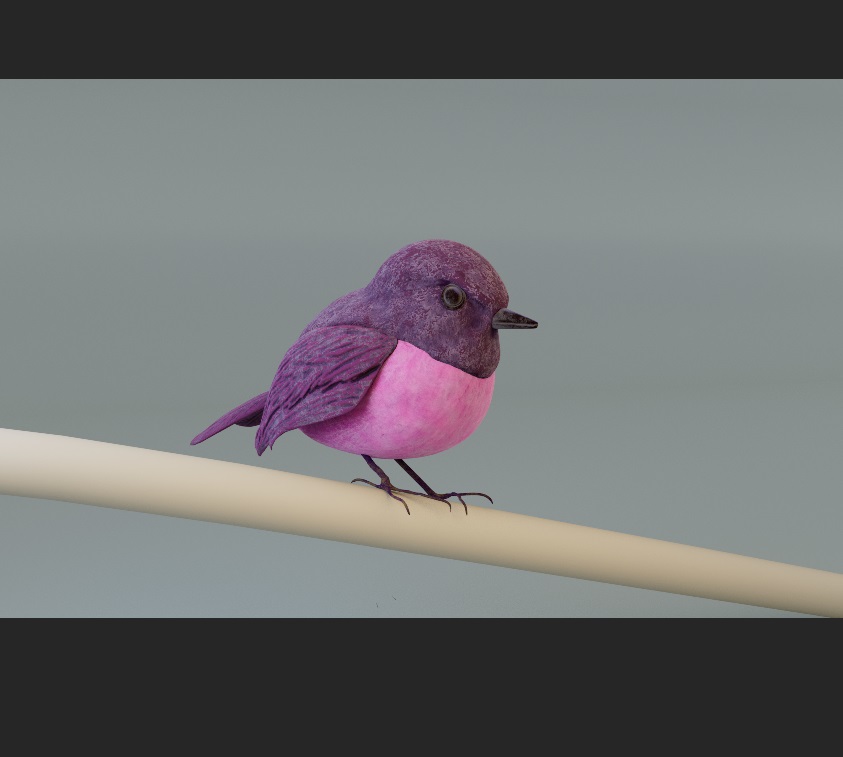 BIRD.jpg