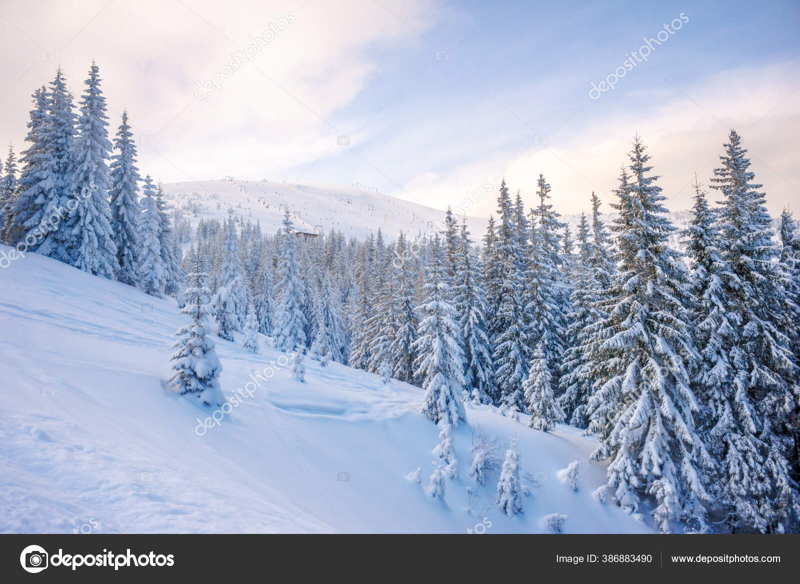 depositphotos_386883490-stock-photo-winter-landscape-pine-trees-covered.jpg