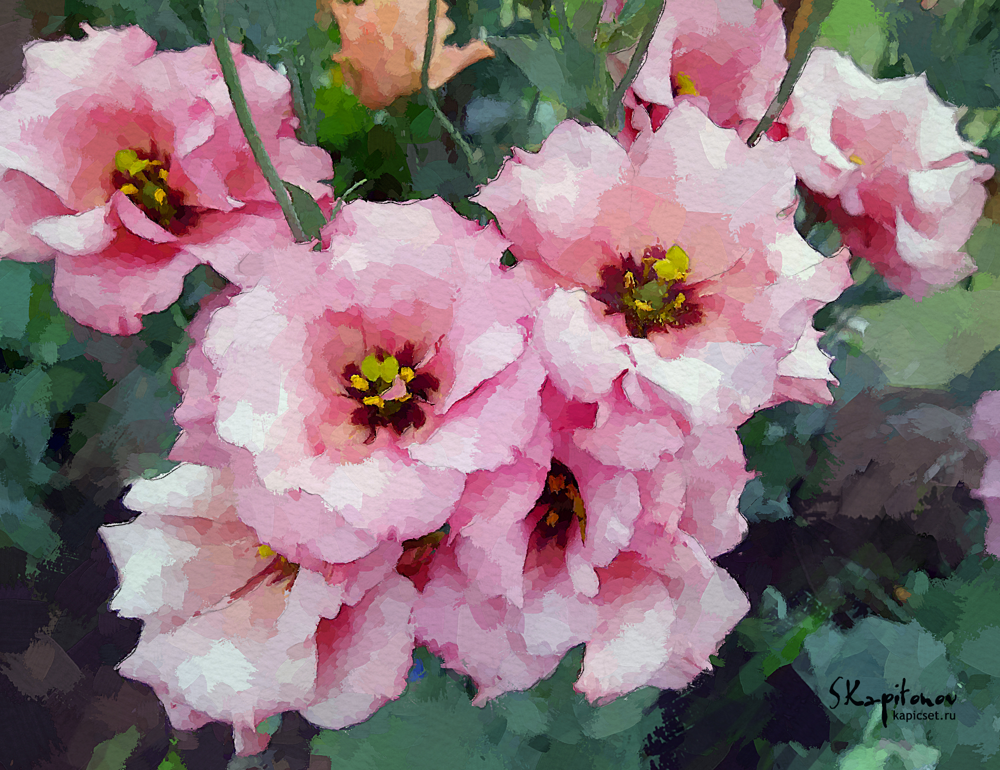 Эустомы графика.jpg