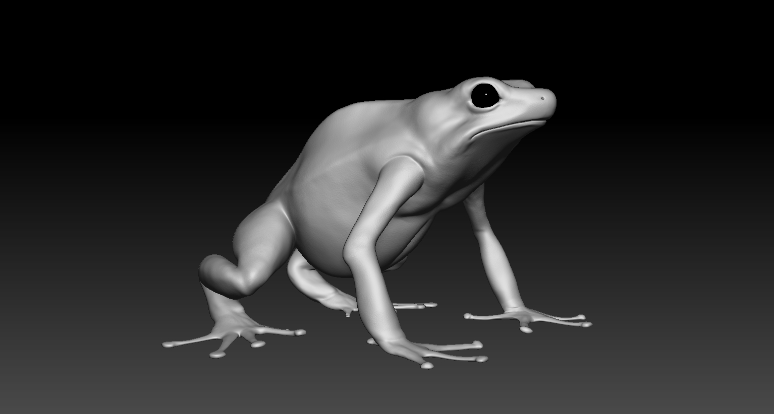 Frog1.jpg