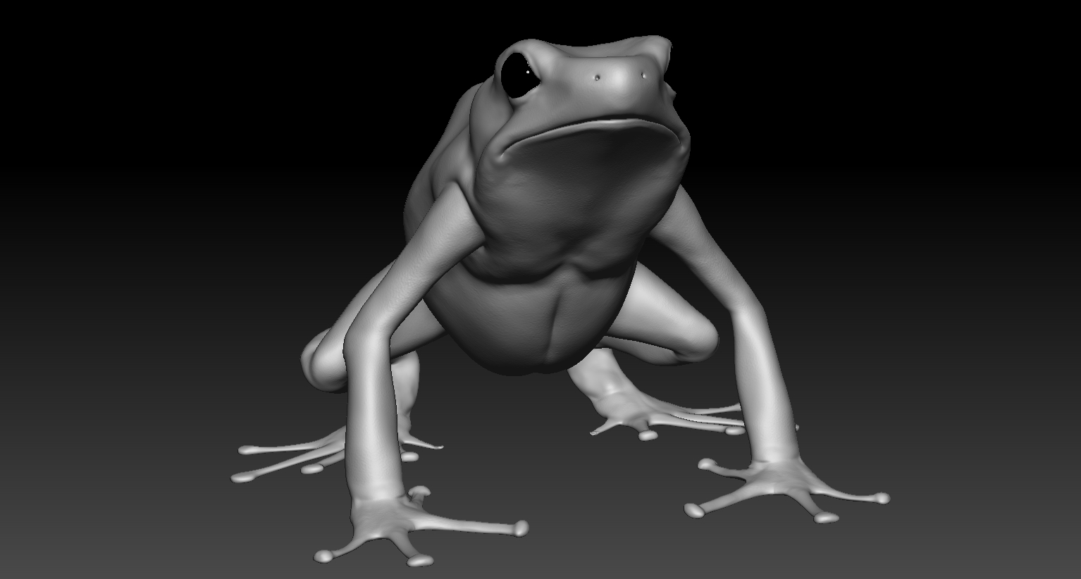 Frog2.jpg