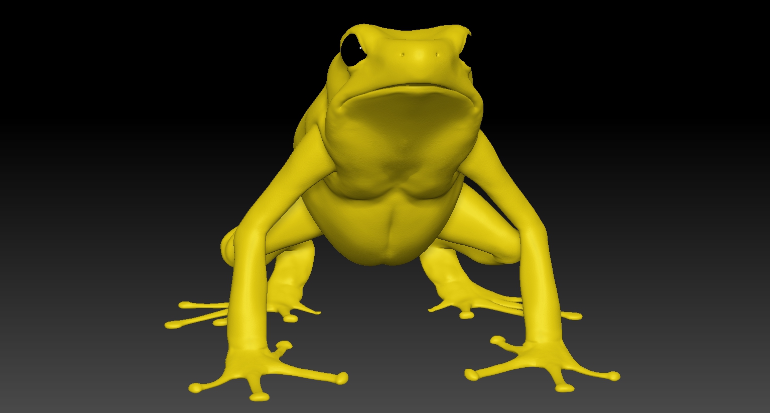 Frog4.jpg