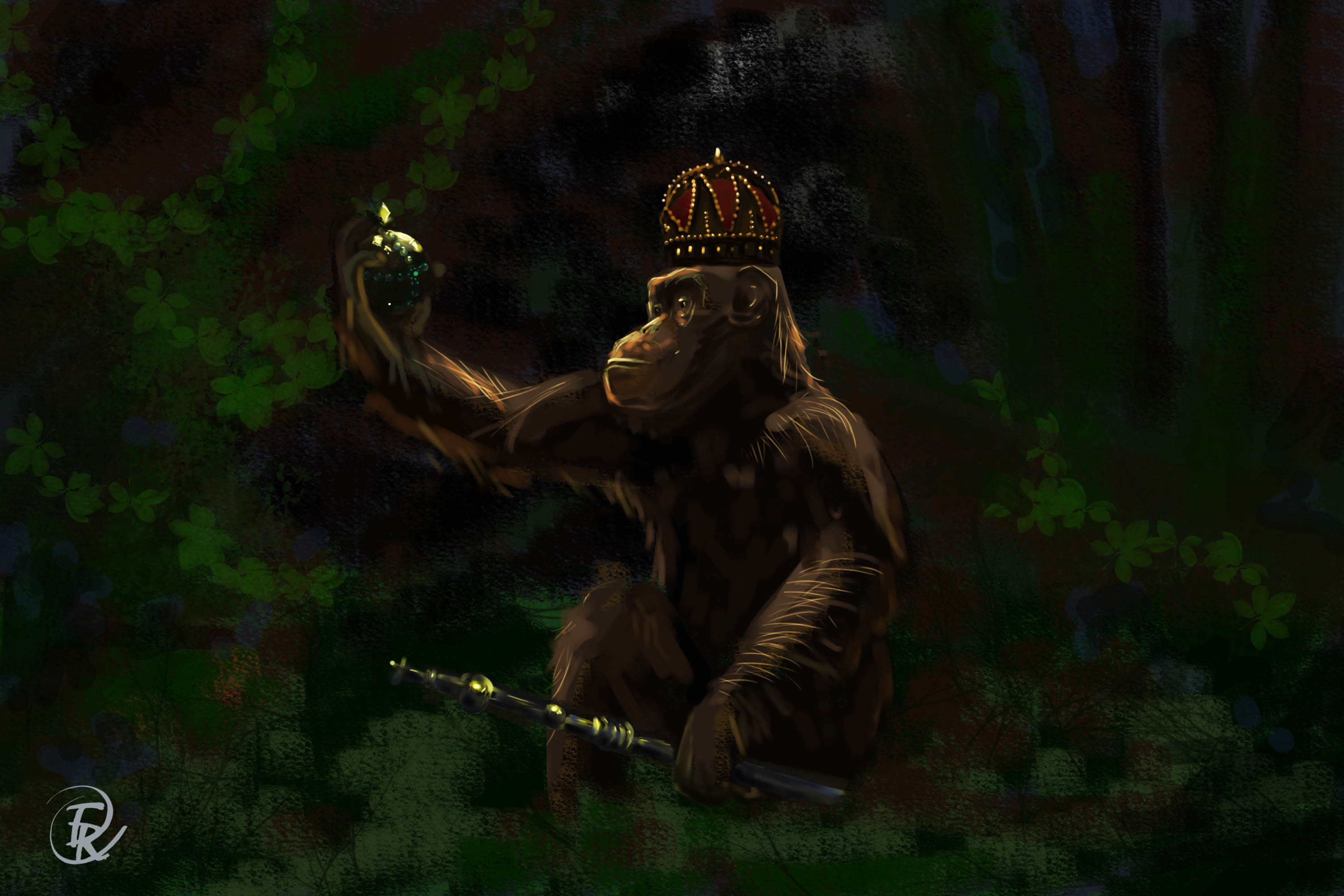 король обезьян.jpg
