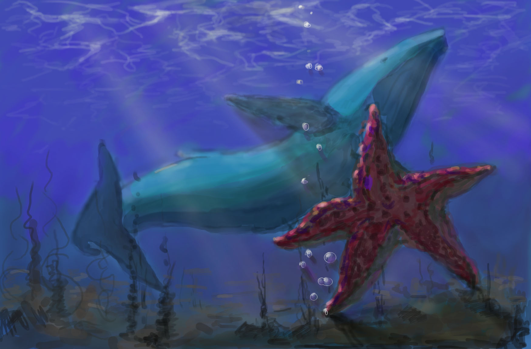 морская звезда и кит +.jpg