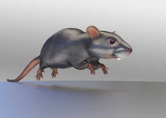 mouse_5.png
