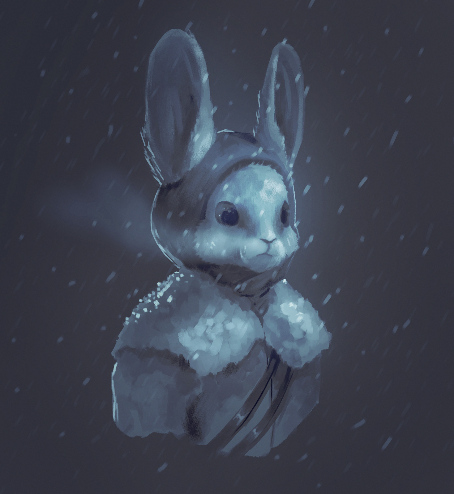 rabbit.jpg