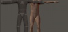2668617.jpg