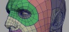 2831347.jpg