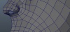 2853942.jpg