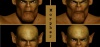 2893342.jpg