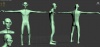 2893346.jpg