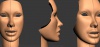 2893869.jpg