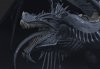 dragon.jpg