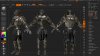 knight2.jpg