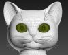 3 my cat.jpg