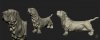 WIP_z_basset_hound_002.jpg