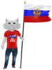 КОТ ФЛАГ.jpg