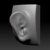Study_008.jpg