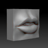 Study_010_b.jpg