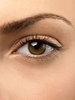 woman-eye-brows-s3-medium_new.jpg