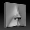 Study_012_b.jpg