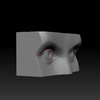 Study_013_b.jpg