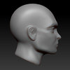 Study_014a.jpg