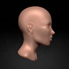 Study_015_c_POST0000.jpg
