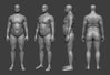 body_male_fat_v00_02.jpg