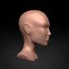 Study_016_c_POST0000.jpg