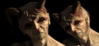 light.png