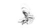body_render_01.png