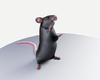 rat_hi.png