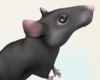 rat_closeup.png