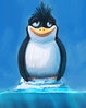 Penguin.jpg