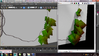 ivy.png