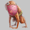 frog.jpg