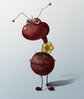 angry_beetle.jpg