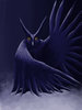 owl.jpg