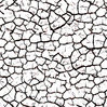 white-cracked-surface-seamless-tileable-texture-29919609.jpg