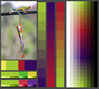 color_scheme.jpg