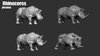 Rhinoceros_process.jpg