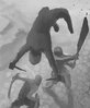 RenderRu - Shadow Fight III 021-006.jpg