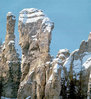 image05.jpg
