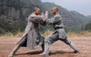 shaolin1.jpg